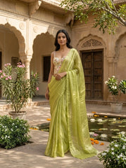 zardosi embellished saree