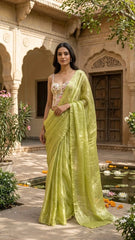 zardosi embellished saree